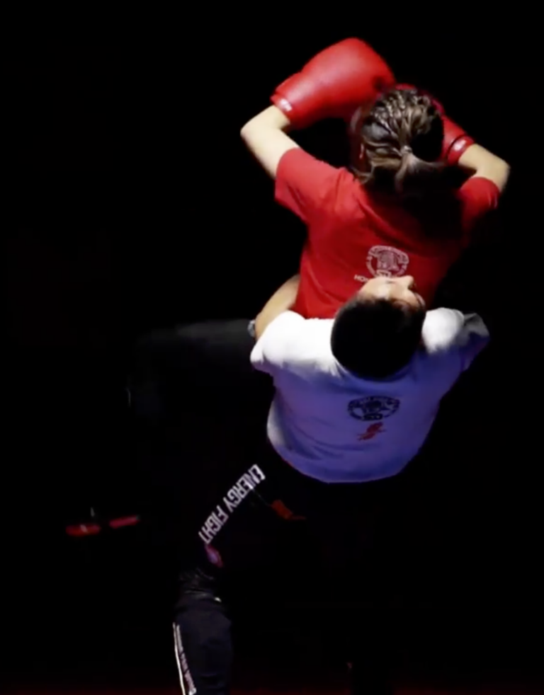 Hong Kong Shoot Boxing Association